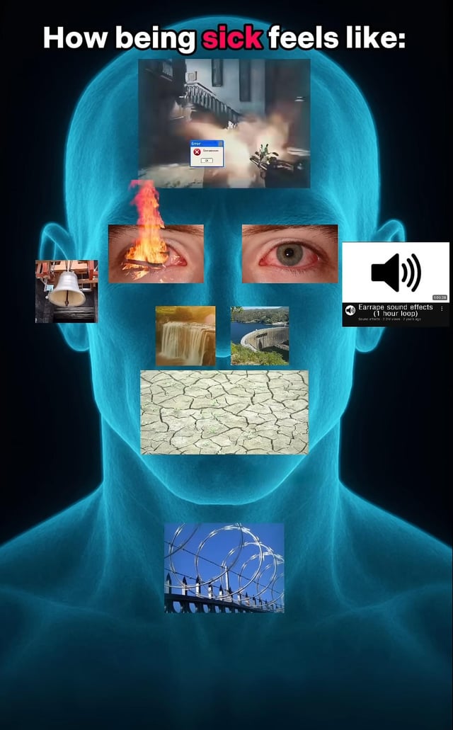 This meme uses a translucent blue outline of a human head and upper body to visually map common symptoms of being sick, with a representative image assigned to each body area: the forehead has an exploding house with a Windows error pop-up representing brain fog and a malfunctioning overwhelmed brain when sick; the left ear has a large ringing bell representing muffled hearing or congestion-related ringing/tinnitus; one eye is on fire to represent burning itchy sore eyes, while the other is bloodshot to represent irritated red eyes; the nose has a waterfall (for constant runny nose) next to a concrete dam (for blocked congested nose); the mouth/chin area uses cracked dry desert earth to represent severe dry mouth and dehydration from illness; the throat uses barbed wire to represent a scratchy painful sore throat; the right side has a YouTube thumbnail for a 1 hour loop of earrape sound effects to represent the constant loud ringing, muffled noise and hearing issues that come with sickness. It is a visual analogy for what being physically unwell feels like.