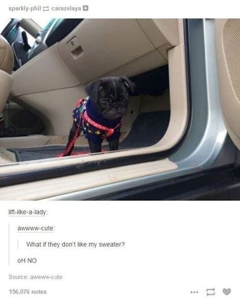 This meme consists of a photograph of a small black pug standing in the footwell of an open car door, wearing a dark decorative knit sweater with a red leash attached, appearing to have a worried, grumpy expression as if hesitating to exit the car. Below the photo, text from a Tumblr comment thread adds a relatable internal monologue for the dog: 'What if they don't like my sweater?' followed by the panicked response 'oH NO', projecting common human social anxiety about being judged for one's appearance onto the cute pet for humorous effect.