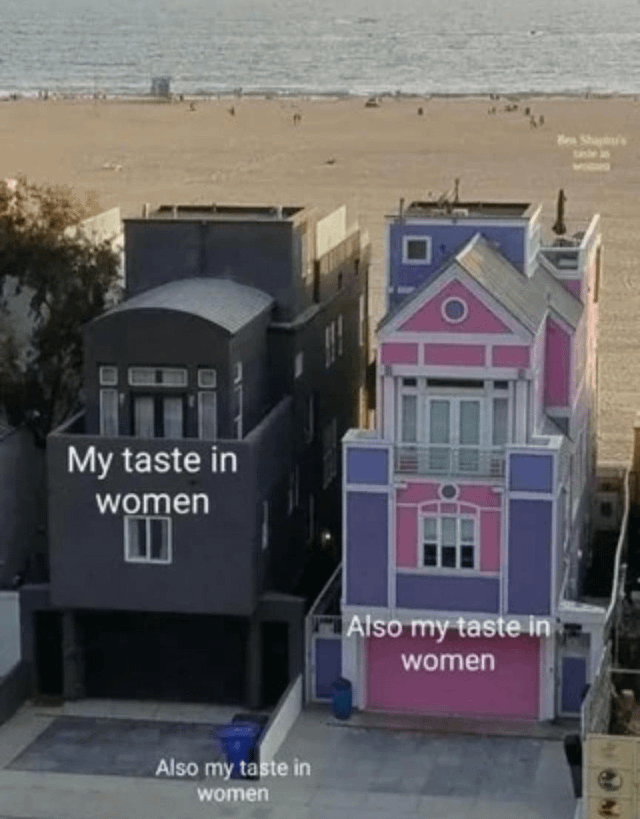 An aerial view photograph of two adjacent houses near a beach, used to create a humorous meme about varied personal preferences. The left house is dark gray with a modern, understated design and the text 'My taste in women' overlaid. The right house is brightly colored (pink and purple) with a more ornate, playful style and the text 'Also my taste in women' overlaid. A third instance of 'Also my taste in women' appears at the bottom of the image. The beach and ocean are visible in the background, adding context to the coastal setting. The meme humorously implies inconsistent or broad taste in women by contrasting the two distinct house styles.