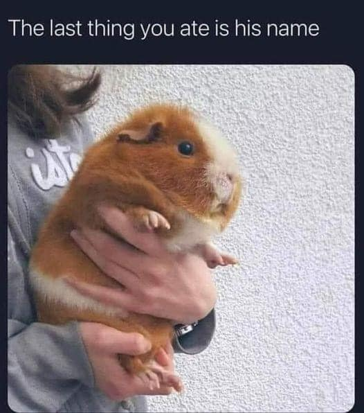 This meme features a photograph of a chubby orange and white guinea pig being gently held by a person wearing a grey sweatshirt, positioned in front of a textured white wall. Text at the top of the meme reads 'The last thing you ate is his name', which acts as a playful interactive prompt asking viewers to assign the guinea pig a name based on their most recently consumed food. The content is lighthearted and designed to drive fun, casual engagement from audiences.