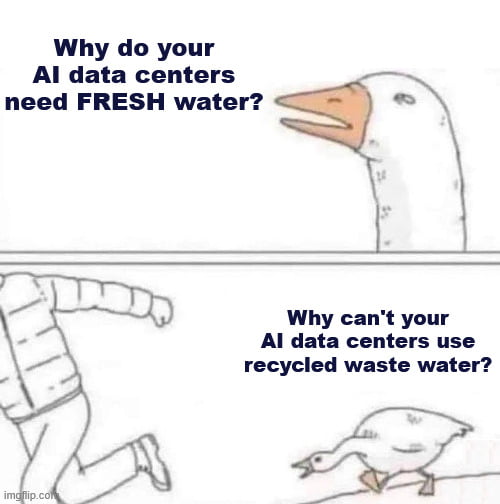 This is a two-panel remixed meme using the popular 'Running Away Goose' template. The top panel features a large, angry-looking goose with the text: 'Why do your AI data centers need FRESH water?' The bottom panel shows a person running away, while a small, unassuming goose follows with the text: 'Why can't your AI data centers use recycled waste water?'

The visual joke ties the size and intensity of the goose to the perceived weight of each question: the first question is a big, confrontational concern about the high fresh water consumption of AI data centers (which require large amounts of water for cooling), while the second is a practical, underdiscussed solution framed as a smaller, less 'threatening' follow-up. The meme satirizes the environmental criticisms of large AI infrastructure, using the meme's iconic character dynamic to highlight these two related points.
