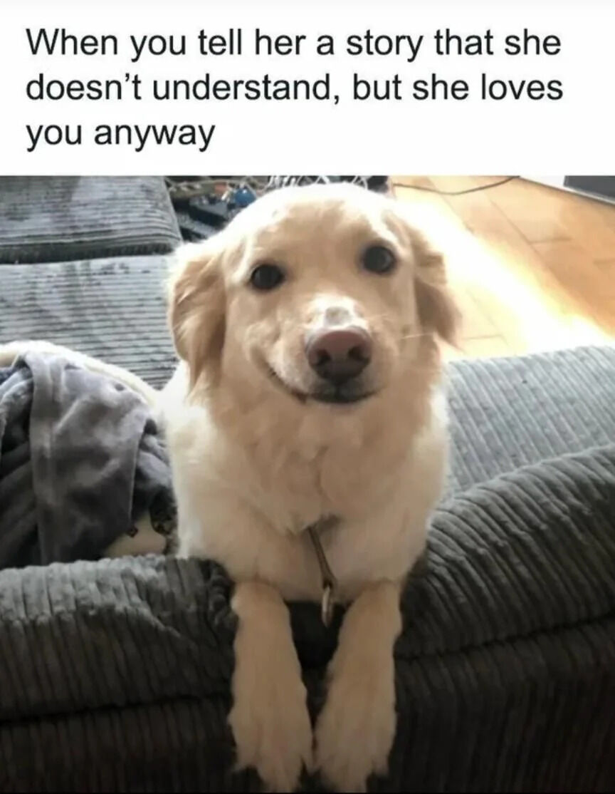The meme consists of a top text overlay and a photograph of a golden retriever dog. The text reads: 'When you tell her a story that she doesn't understand, but she loves you anyway.' The dog is sitting on a gray, ribbed-texture couch with a dark gray blanket draped nearby. It has a soft, attentive expression with large, dark eyes and a slightly open mouth, giving an impression of gentle confusion but unwavering affection. The background shows a wooden floor and some indistinct household items, creating a cozy, homey atmosphere. The combination of the text and the dog's expression humorously and wholesomely portrays the feeling of being loved despite misunderstandings.
