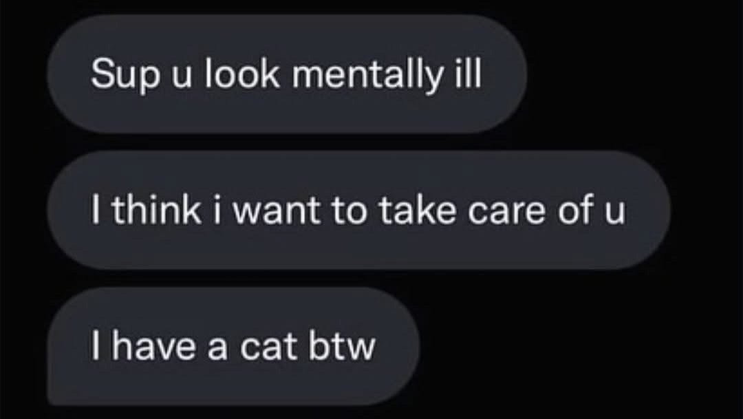 This image shows three dark gray iMessage-style outgoing chat bubbles on a solid black background. The sequential text in the bubbles reads: 'Sup u look mentally ill', 'I think i want to take care of u', and 'I have a cat btw'. The humor derives from the juxtaposition of a blunt, edgy opening pickup line, a sweet caring follow-up, and the final add-on of owning a cat, which is framed as a major desirable perk to convince the recipient to accept the offer, playing on the widespread popularity of cats among internet audiences.