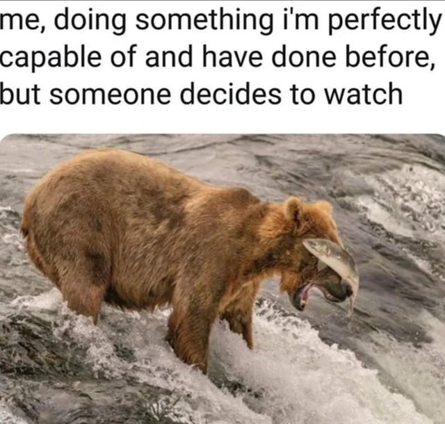 The meme consists of a top text overlay and a photograph. The top text reads: 'me, doing something i'm perfectly capable of and have done before, but someone decides to watch'. Below the text is a real photograph of a brown bear standing in a river with turbulent water. The bear appears to be in a clumsy situation, with a fish stuck on its face, giving an impression of frustration or confusion. The humor arises from the relatable scenario where a simple, routine task becomes difficult or awkward when being observed, personified by the bear's comically mishap with the fish.