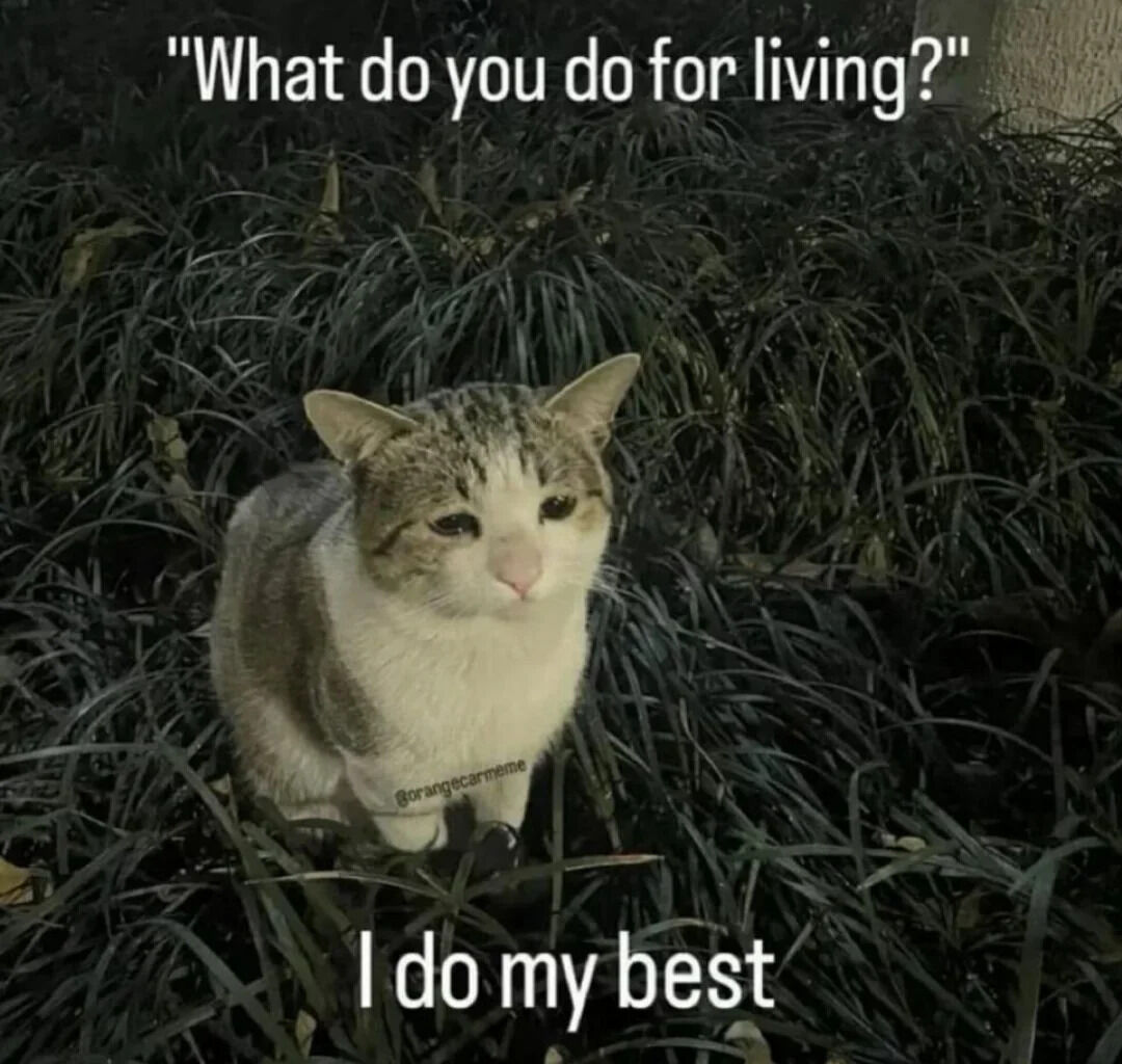 A photograph featuring a tabby and white cat standing in dense, dark green foliage. The cat looks directly at the camera with a calm expression. Two text overlays are present: the top text reads 'What do you do for living?' in white font, and the bottom text reads 'I do my best' in white font, creating a relatable and humorous narrative where the cat responds to a existential question with a simple, endearing answer. A faint watermark 'boringcatmeme' is visible on the cat's chest area.