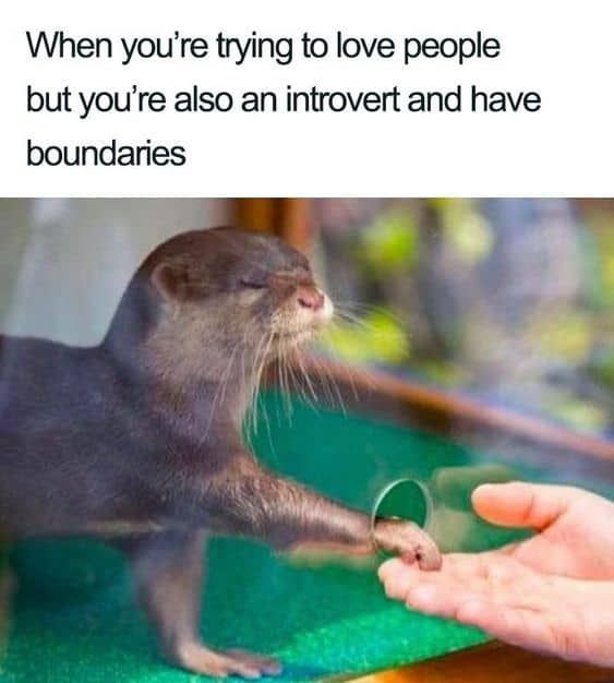 This is a relatable wholesome meme targeting introverts. The top text states: "When you're trying to love people but you're also an introvert and have boundaries". Below the text, there's a photo of a small otter with a calm, content expression extending its paw through a thin circular metal ring to gently touch an outstretched human hand. The visual metaphor here is clear: the otter represents the introvert—wanting to engage and connect with others (by reaching out to the hand) but needing to maintain a firm, physical boundary (using the ring as a barrier between itself and the human). This perfectly captures the common introvert experience of desiring social connection while also requiring personal space and limits to feel comfortable. The meme uses the cute, gentle nature of the otter to make the relatable personality trait feel warm and humorous.
