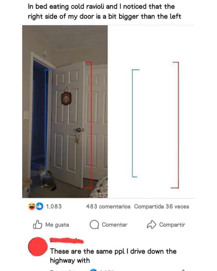 A social media post featuring a humorous everyday observation. The top text reads: 'In bed eating cold ravioli and I noticed that the right side of my door is a bit bigger than the left.' Below the text is a photograph of a partially open white door with a small cat sitting on the floor near the doorframe. The left side of the door is marked with a blue vertical line, and the right side with a red vertical line. To the right of the photograph is a simple diagram showing two vertical lines: a shorter blue line and a longer red line, reinforcing the perceived size difference. Below the image are social media engagement metrics: 1,083 likes, 483 comments, and 36 shares, with Spanish-language buttons 'Me gusta' (Like), 'Comentar' (Comment), and 'Compartir' (Share). A top comment overlay reads: 'These are the same ppl I drive down the highway with.'