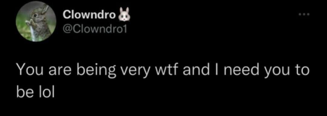 This image is a dark mode screenshot of a post from the X (formerly Twitter) platform. The post is made by user @Clowndro1, who has a profile picture of a small wild rabbit standing on its hind legs, and a display name 'Clowndro' accompanied by a white bunny emoji. The text of the post reads 'You are being very wtf and I need you to be lol', a humorous, casual line that conveys that the recipient's behavior is confusing, bizarre, or shocking, and requests them to lighten up, stop acting unreasonably, or be amusing instead.