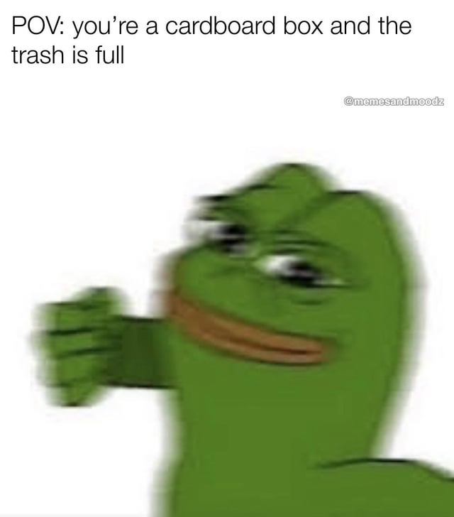 This meme features a motion-blurred illustration of the iconic Pepe the Frog character holding out a hand in a clear rejecting, dismissive gesture. The text at the top sets the scenario as a point of view from a cardboard box facing a full trash bin, framing Pepe as the full trash can refusing to accept more waste. The motion blur amplifies the impression of firm, immediate refusal, creating a humorous relatable joke about the common household experience of not having space left in a full trash bin for additional items.