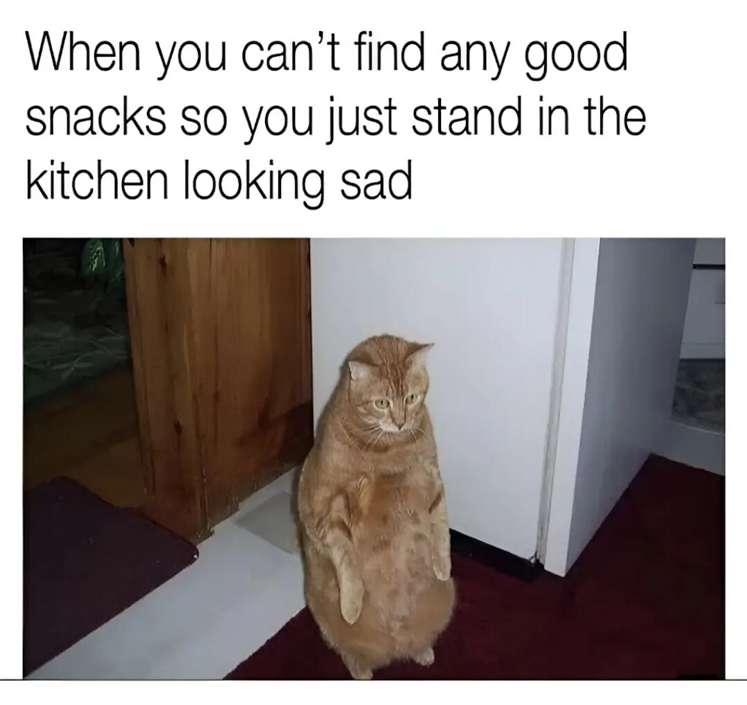 A meme consisting of a top caption and a photograph. The caption reads: 'When you can't find any good snacks so you just stand in the kitchen looking sad'. Below the caption is a photo of an orange cat standing upright on its hind legs in a kitchen corner, positioned between a wooden cabinet and a white refrigerator. The cat has a sad, dejected expression, matching the caption's description of looking sad while unable to find snacks. The image humorously anthropomorphizes the cat's behavior to reflect a relatable human experience of searching for snacks and feeling disappointed.