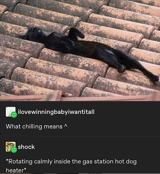 This meme features a photo of a completely relaxed black cat stretched out on its back across sun-warmed terracotta roof tiles, looking totally at peace. Below the cat photo is a screenshot of a social media comment thread: the first user captions the image 'What chilling means ^', framing the cat's laid-back state as the perfect example of chilling. A second user replies with a darkly funny pun that plays on the phrase, writing '*Rotating calmly inside the gas station hot dog heater*', twisting the meaning of 'chilling' (relaxing) to refer to a hot dog rotating in a gas station warmer.