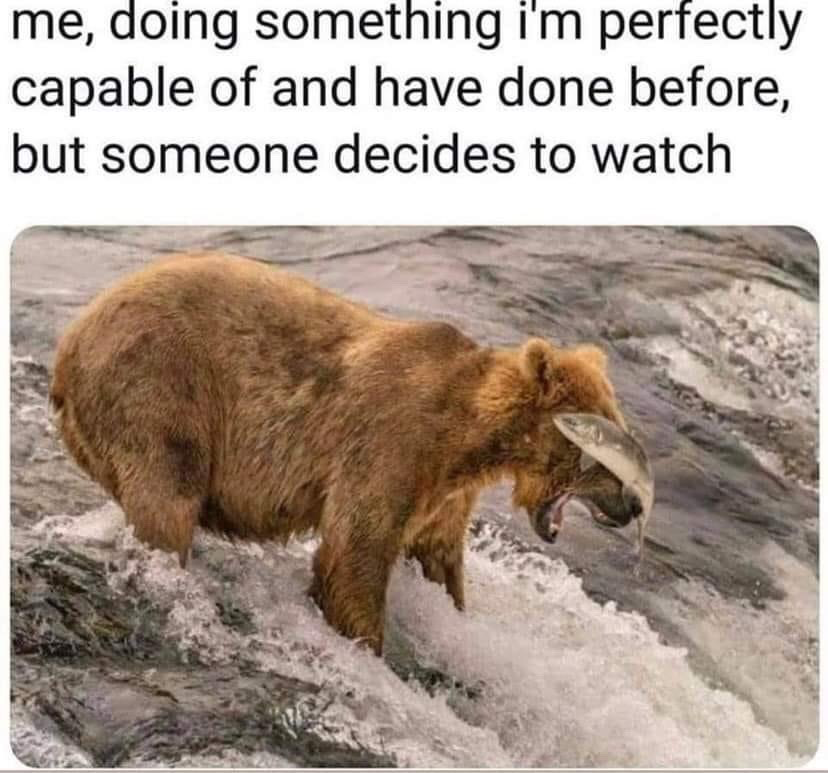 The meme has a text block at the top followed by a wildlife photograph. The top text reads 'me, doing something i'm perfectly capable of and have done before, but someone decides to watch'. The photo below shows a large brown bear standing in rushing, foamy river water with its mouth open to catch a leaping salmon, but the salmon instead hits the bear directly on its face, missing its open mouth entirely. The image humorously illustrates the common relatable experience of performing badly at a task you are normally competent at, as soon as you are being observed by another person.