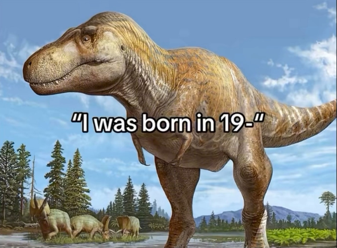 This meme displays a realistic paleoart illustration of a Tyrannosaurus rex standing in a prehistoric natural landscape, with smaller herbivorous dinosaurs, coniferous trees, and mountains visible in the background. Overlaid on the image is the text "I was born in 19-", which creates a humorous joke implying that people who were born in the 1900s and start stating their birth year with "19-" are as ancient as dinosaurs that lived millions of years ago. The joke pokes fun at the feeling of being old common among Gen X and older millennial generations when compared to younger generations born in the 2000s.