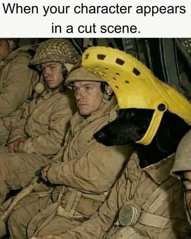 This is an edited meme image that combines a historical photograph of solemn WWII soldiers seated inside a military transport aircraft with a humorous, absurd edit: a black dog dressed in a military uniform wears a bright yellow Croc shoe as a helmet, sitting among the serious-looking soldiers. The top text reads "When your character appears in a cut scene." The joke hinges on the relatable gaming experience where a player's silly, customized character—often with out-of-place, goofy gear—suddenly appears in a serious, pre-rendered game cutscene, creating a jarring, funny contrast between the serious tone of the scene and the ridiculous character design, mirrored here by the dog with the Croc helmet among the stoic soldiers.