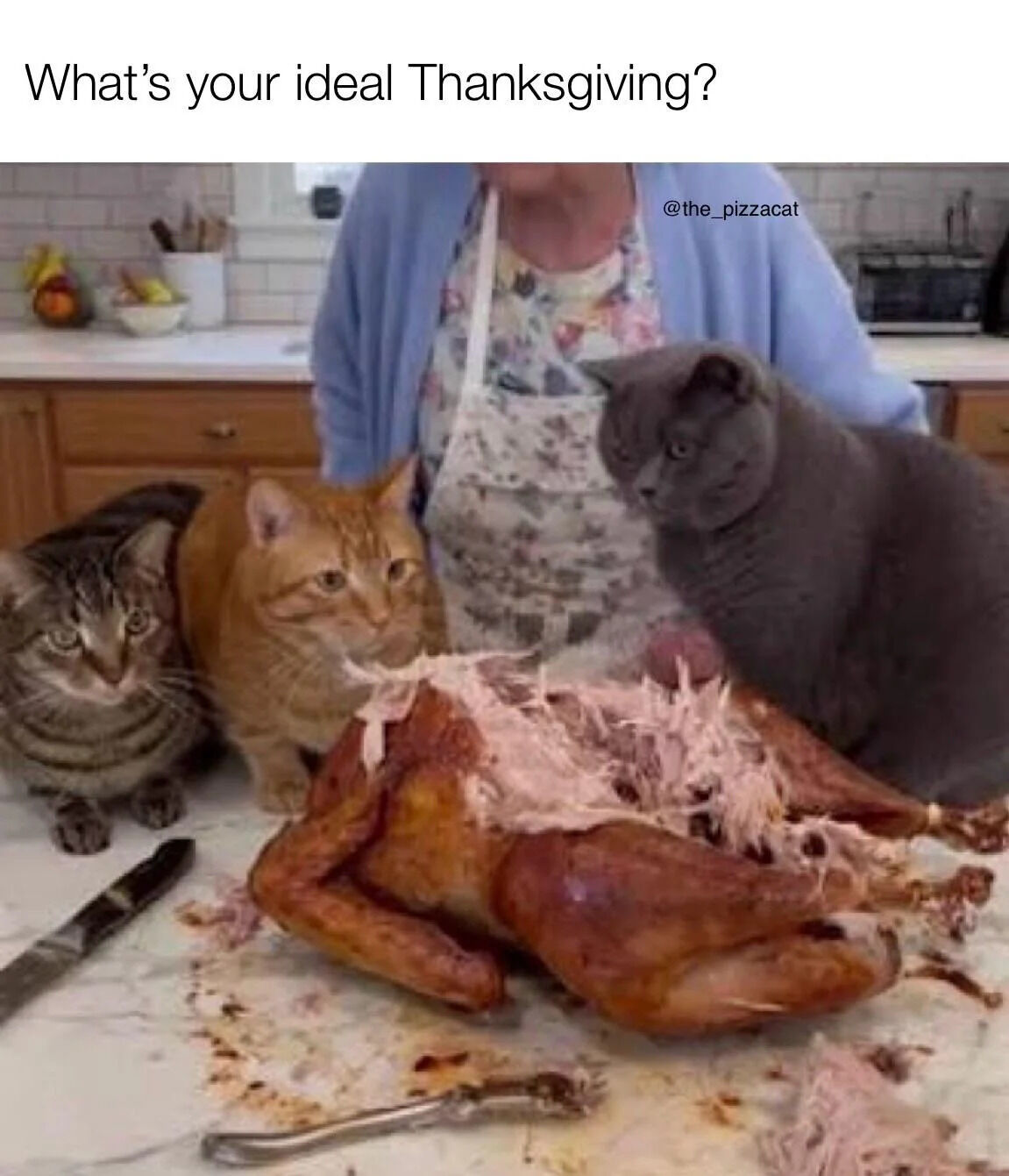 A humorous image depicting a Thanksgiving scene where a person (partially visible, wearing a floral apron and blue cardigan) stands behind a roasted turkey that has been partially eaten. In front of the turkey, three cats—a tabby, an orange tabby, and a gray cat—are gathered, each with alert or curious expressions, seemingly eyeing the turkey. The top text reads 'What's your ideal Thanksgiving?', playfully suggesting that the ideal celebration involves sharing the holiday meal with cats.