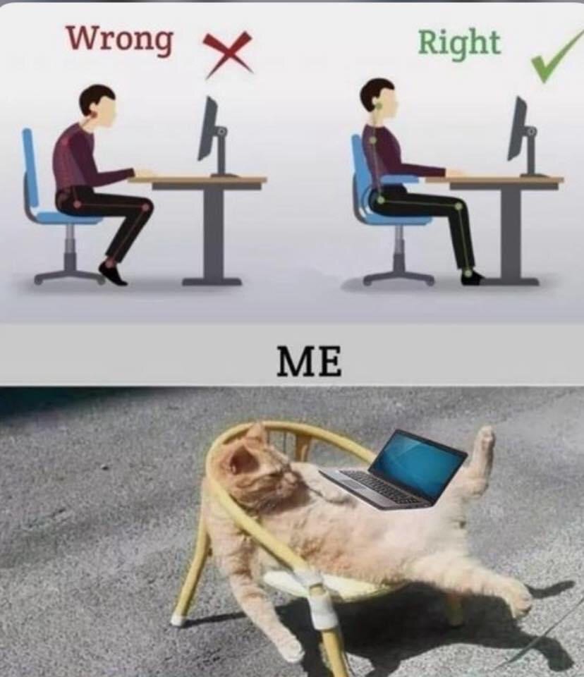 The meme is structured as a humorous three-way comparison. The top section displays a standard office ergonomics guide: the left side, labeled 'Wrong' with a red cross, shows a person slouching forward in bad posture while working at a desk. The right side, labeled 'Right' with a green checkmark, shows a person sitting upright in recommended ergonomic posture. The bottom section, labeled 'ME', features a photograph of an extremely relaxed orange cat splayed on its back in a small wicker chair, with a laptop resting on its stomach, completely disregarding all proper posture guidelines, acting as a relatable joke about how most people actually position themselves when working on computers.