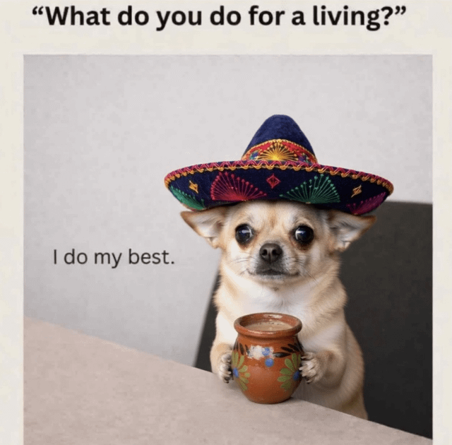 This is a single-panel wholesome relatable meme featuring a real tan Chihuahua dog dressed in a large colorful embroidered Mexican sombrero. The dog is posed sitting at a table, holding a small decorated terracotta drink mug with its front paws, as if it is a person being interviewed. The text at the top asks the common question: "What do you do for a living?", and the dog's answer is "I do my best.". The meme jokes about the common experience of not having a prestigious or conventional job to talk about when asked what you do for a living, offering a very relatable, honest answer that resonates with people who just work hard and try their best at their livelihood.