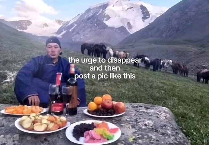 The meme features a real candid photograph of a man in traditional blue clothing sitting outdoors at a rough stone table in an alpine valley. The table is set with multiple plates of cut fruit, whole fruits, wine glasses filled with red wine, and bottles of alcohol. Behind him are lush green grassy hills, a herd of grazing horses, and large snow-capped mountains under a partly cloudy sky. White text is overlaid on the center of the image, reading 'the urge to disappear and then post a pic like this'. The meme humorously captures the very relatable modern feeling of wanting to take a break from daily responsibilities, travel to a quiet, beautiful remote location, and then share that idyllic experience with others on social media.