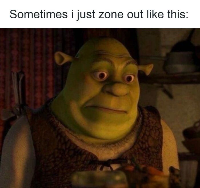 This is a single-panel reaction meme. The top section contains text that reads 'Sometimes i just zone out like this:', positioned above a screenshot of the green ogre character Shrek from the DreamWorks Shrek animated film franchise. Shrek is shown with wide, unfocused eyes and a blank, vacant expression, perfectly illustrating the feeling of spacing out, losing focus, and being unresponsive to your surroundings, which is a common relatable everyday experience.