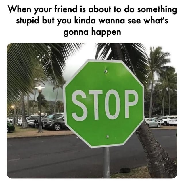 This meme features a top text overlay that reads: 'When your friend is about to do something stupid but you kinda wanna see what's gonna happen'. Below the text is an image of a stop sign that has been edited to be green (instead of the standard red), positioned in a parking lot with palm trees and parked cars in the background. The humor arises from the contrast between the stop sign's intended purpose (to halt action) and its green color (which is unconventional and less authoritative), mirroring the scenario where the observer chooses not to intervene in their friend's foolish behavior out of curiosity.