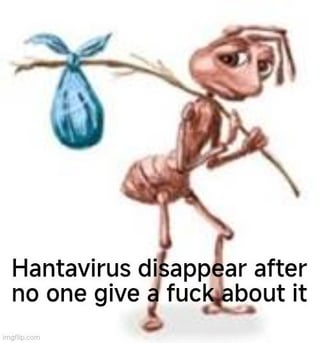 This meme features the widely used sad, dejected anthropomorphic ant character walking slowly away while carrying a stick slung over its shoulder with a blue cloth bindle tied to the far end. The text below the ant reads "Hantavirus disappear after no one give a fuck about it", making a sarcastic joke referencing the 2020 news cycle: hantavirus was briefly a trending public health topic shortly after the start of the COVID-19 pandemic, but quickly faded from public discourse as people stopped paying attention to it, so it is portrayed metaphorically leaving dejectedly.