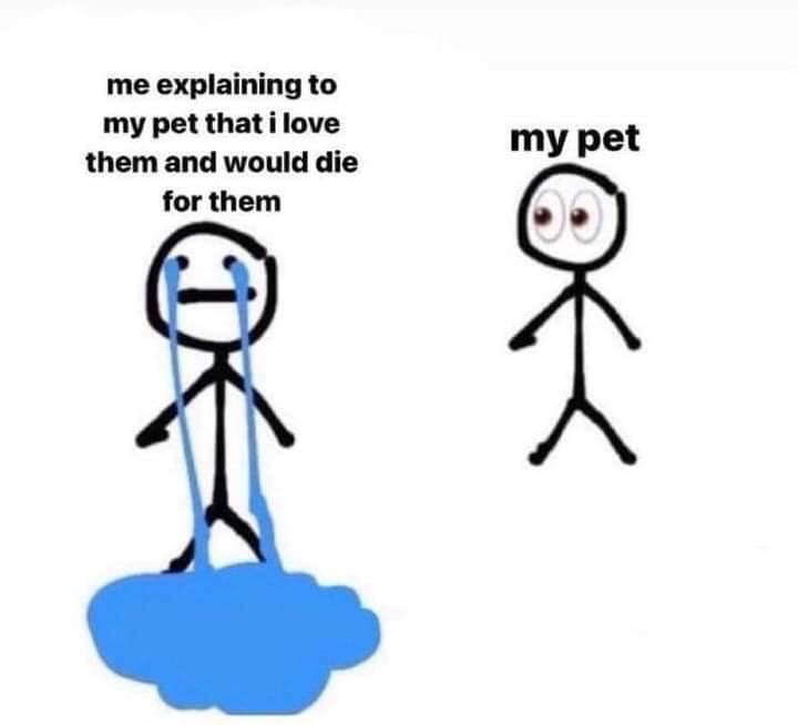 This meme displays two simple hand-drawn stick figures on a plain white background. The left stick figure is labeled with the text 'me explaining to my pet that i love them and would die for them', and is shown crying intensely, with thick streams of blue tears pouring down to form a large puddle at their feet, conveying overwhelming, sincere affection for their pet. The right smaller stick figure is labeled 'my pet', standing with wide, blank, uncomprehending deadpan eyes and no visible reaction to the owner's emotional speech. The humor comes from the extremely relatable experience of pet owners who express deep love for their pets even when the animals have no grasp of the meaning behind these displays of affection.