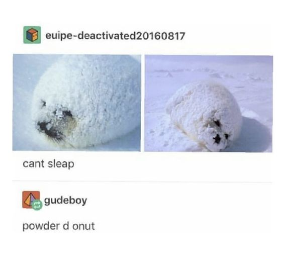 A meme featuring two posts from X.com (formerly Twitter) under the WholesomeMeme account. The first post, by user 'euipedeactivated20160817', includes two close-up photos of a seal lying in snow, completely covered in snow with only its face partially visible. The caption reads 'cant sleap' (misspelled 'can't sleep'). The second post, a response by user 'gudeboy', humorously comments with 'powder d onut' (a phonetic play on 'powdered donut'), highlighting the visual similarity between the snow-covered seal and a powdered donut. The meme relies on this pun and visual joke to create a wholesome, lighthearted effect.