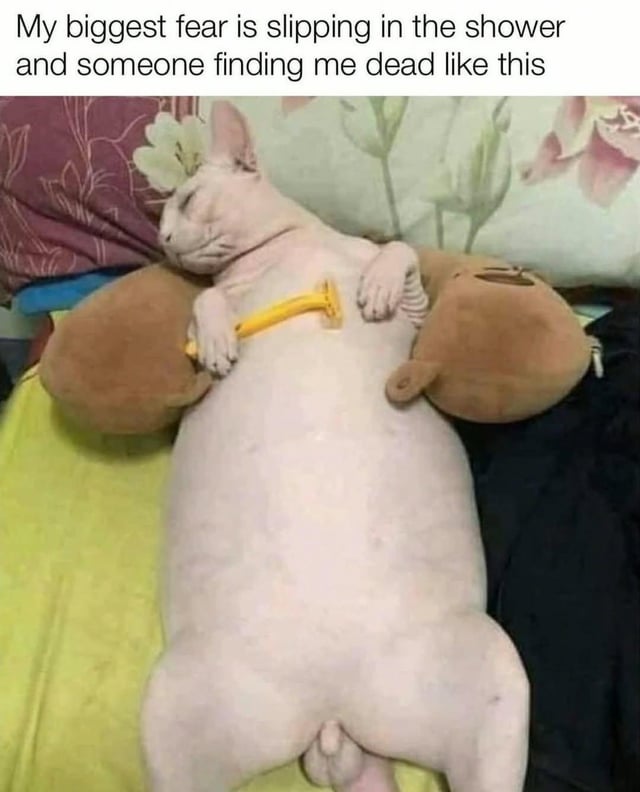 A humorous meme featuring a hairless cat (likely a Sphynx) lying on its back on a bed, appearing relaxed and asleep. The cat is holding a yellow disposable razor across its chest, with two small brown teddy bears positioned under each arm. Above the cat, there is a text overlay that reads: 'My biggest fear is slipping in the shower and someone finding me dead like this.' The image combines a relatable everyday fear with the absurdly funny visual of the cat in a vulnerable, human-like pose, creating a lighthearted and comedic effect.