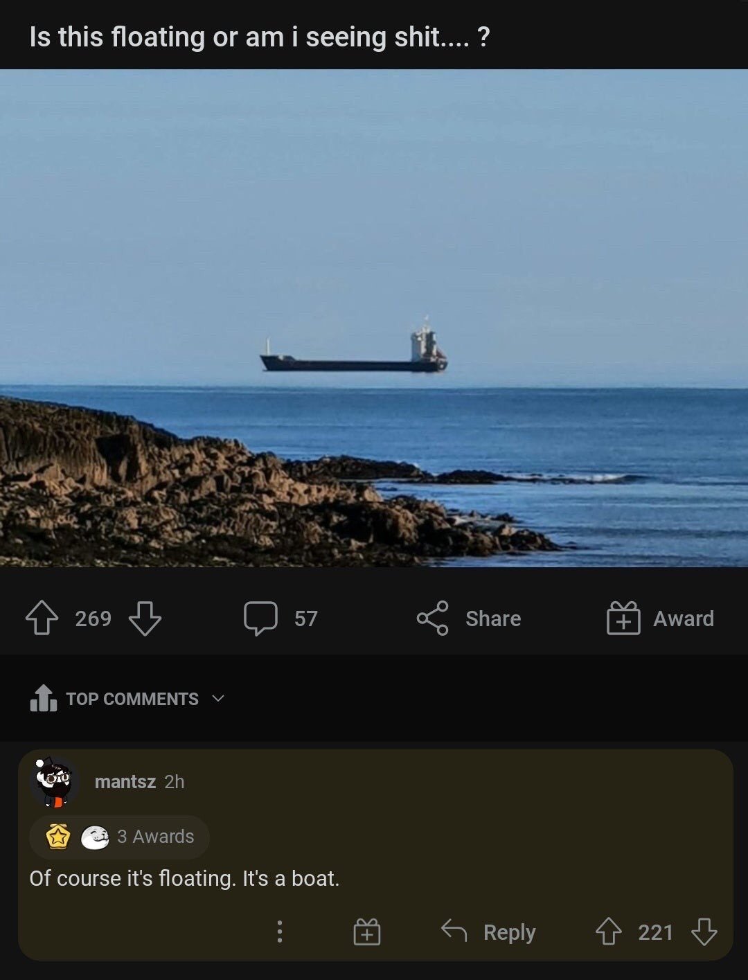 This image is a screenshot of a social media post featuring a photo of a Fata Morgana mirage, where a large cargo ship on the horizon appears to be floating in the sky above the ocean rather than sitting on the water. The post's opening text asks if the ship is actually floating or if the poster is hallucinating, confused by the unusual visual effect. The top comment under the post sarcastically responds that of course it is floating, as it is a boat, leaning into the obvious fact that boats float on water while deliberately ignoring the illusion that makes the ship appear elevated above the sea surface. The foreground of the photo shows a rocky coastline leading out to a calm blue ocean under a clear sky.