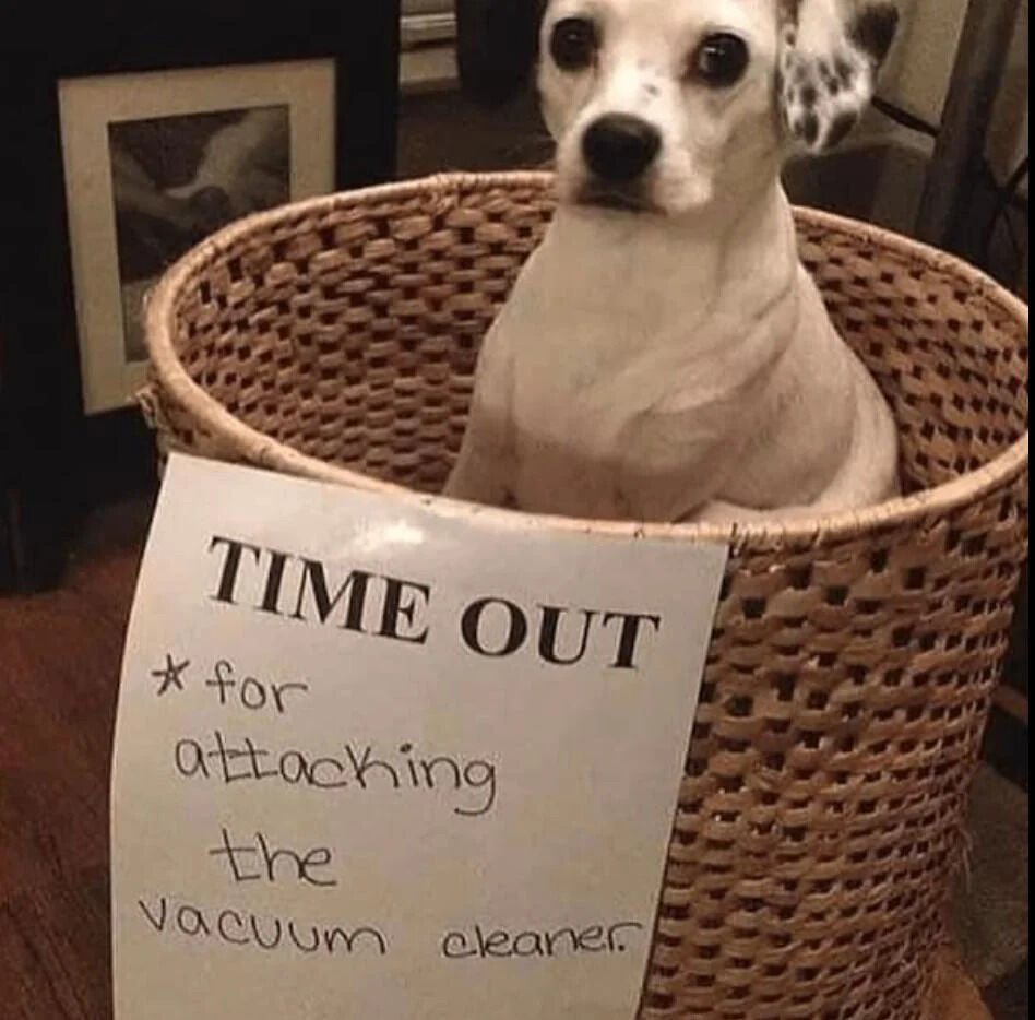 The image shows a small white dog with black spotted ears sitting upright inside a woven wicker basket, looking directly at the camera with a wide-eyed, resigned or slightly guilty expression. A handwritten paper sign is attached to the front of the basket, which states the dog is in time out as punishment for attacking the household vacuum cleaner, a common behavior many dog owners relate to.