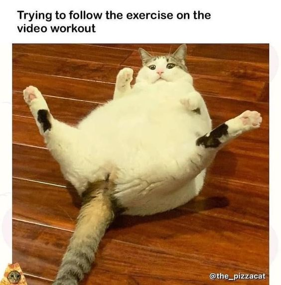 This meme features a very large, chonky white and tabby cat lying on its back on a polished wooden floor, with its legs splayed awkwardly in the air. The top text overlay reads "Trying to follow the exercise on the video workout". The core humor is a relatable visual joke: the cat's round, seemingly immobile body and awkward posture perfectly embody the universal struggle of attempting to keep up with an online workout video, especially when out of shape. The cat's neutral, almost resigned facial expression amplifies the comedic effect, turning a common human experience into a lighthearted, wholesome joke using a pet. This meme resonates with anyone who has felt overwhelmed or unable to match the intensity of a guided workout.