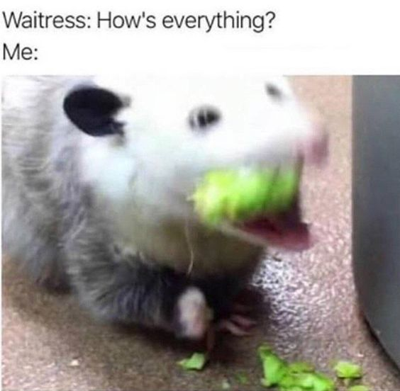 This relatable meme depicts an awkward common restaurant scenario: when your waitress stops by your table to ask 'How's everything?' right when you have a full mouth of food and cannot respond. The meme uses a blurry photo of a real opossum caught mid-bite with a large chunk of green lettuce stuffed in its mouth, looking startled, to represent how you look in this awkward moment. The top text sets up the interaction, with the opossum image serving as the speaker's reaction.