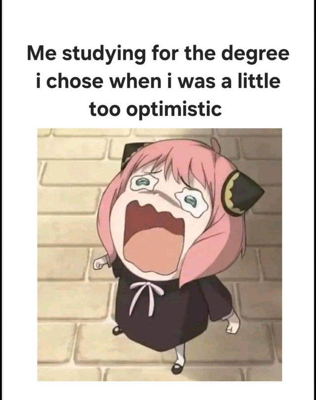 A meme featuring a top text caption reading 'Me studying for the degree i chose when i was a little too optimistic' above an animated character. The character is Anya Forger from the anime 'Spy x Family,' depicted with pink hair, black cat-like ears, a black dress with a white ribbon, standing against a brick wall background. She has an exaggerated expression of distress: eyes wide with tears, mouth open in a scream, conveying frustration or overwhelm. The meme humorously captures the relatable feeling of regretting a past optimistic decision, specifically regarding educational choices.