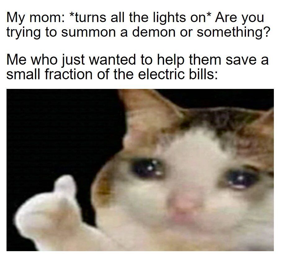This meme uses the popular sad thumbs-up cat template to depict a relatable everyday family scenario. The top text shows a mom turning on all the lights and jokingly accusing the narrator of summoning a demon for being in a dark room. The bottom text reveals the narrator was simply trying to save a small amount on electric bills, paired with the cat's teary, dejected thumbs-up expression that conveys a mix of sadness and resigned acceptance at being misunderstood. It's a wholesome, lighthearted joke about common family interactions and small money-saving attempts.