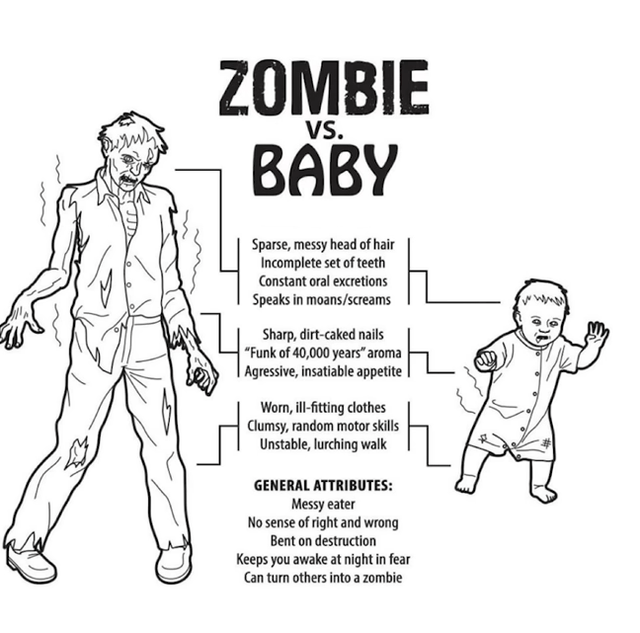 A black-and-white line drawing meme humorously comparing a zombie and a baby by listing shared attributes. On the left, a zombie with tattered clothes, messy hair, and sharp nails lurches forward. On the right, a baby in a onesie stumbles with arms raised. Connecting lines link both characters to a central list of attributes: 'Sparse, messy head of hair', 'Incomplete set of teeth', 'Constant oral excretions (Speaks in moans/screams)', 'Sharp, dirt-caked nails', '"Funk of 40,000 years" aroma', 'Aggressive, insatiable appetite', 'Worn, ill-fitting clothes', 'Clumsy, random motor skills', 'Unstable, lurching walk'. Below, 'GENERAL ATTRIBUTES:' lists 'No sense of right and wrong', 'Bent on destruction', 'Keeps you awake at night in fear', 'Can turn others into a zombie'.