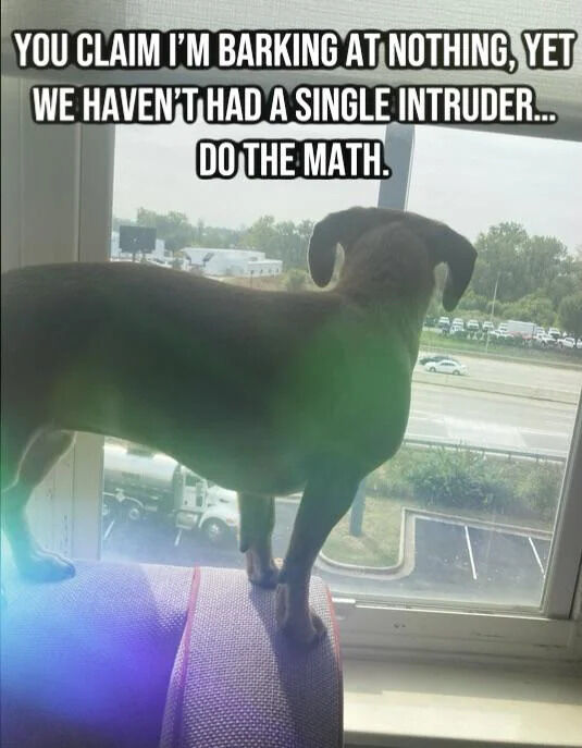 A photograph of a medium-sized dog standing on its hind legs atop a purple cushion, positioned by a window. The dog is facing outward, looking at a highway and parking lot visible through the window. Overlaid text reads: 'YOU CLAIM I’M BARKING AT NOTHING, YET WE HAVEN’T HAD A SINGLE INTRUDER... DO THE MATH.' The dog appears alert, with its ears perked and body leaning slightly forward. The scene outside includes vehicles, trees, and buildings, suggesting a suburban or urban setting. The tone is lighthearted and humorous, framing the dog as playfully defending its barking as a deterrent to intruders.