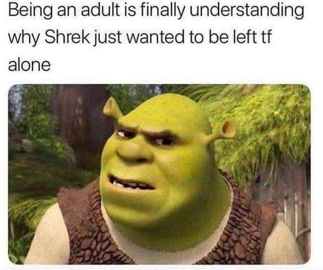 The meme consists of a screenshot from the animated film 'Shrek' (2001) featuring the character Shrek with a grumpy, serious expression—furrowed brows, slightly open mouth, and a scowl. Above the image is a text overlay that reads: 'Being an adult is finally understanding why Shrek just wanted to be left tf alone'. The humor lies in the relatable observation that adult life often leads to a desire for solitude, mirroring Shrek's initial wish to be left alone in his swamp at the start of the film.