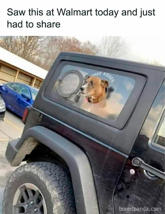 This image captures a black Jeep parked in a Walmart parking lot, featuring a clever window decal that creates an optical illusion. The decal depicts a dog's head appearing to poke through a circular simulated hole in the rear window, paired with the text 'FREE KISSES' above the dog. A text overlay at the top reads 'Saw this at Walmart today and just had to share', indicating the photo was taken by someone who spotted the vehicle at the retail location. The humor stems from the visual trick: viewers may initially mistake the decal for a real dog sticking its head out of the car, before realizing it's a printed design. The 'FREE KISSES' text adds a wholesome, playful touch, leaning into the affectionate stereotype of dogs giving kisses. In the background, a blue sedan and a portion of the Walmart building are visible, confirming the outdoor parking lot setting.