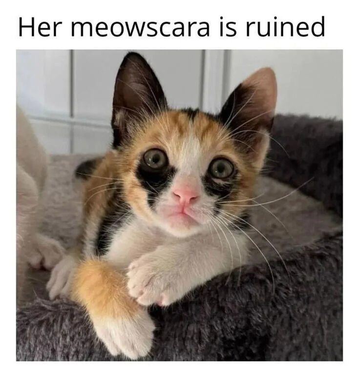 The image features an adorable small calico kitten with large, round green eyes, lying in a gray fuzzy bed. The kitten has a mix of orange, black, and white fur, with distinct black markings around its eyes that resemble smudged makeup. Above the kitten, the text reads 'Her meowscara is ruined,' a playful pun combining 'meow' (cat sound) and 'mascara' (eye makeup), humorously suggesting the kitten's eye markings look like smudged mascara. The background consists of a tiled wall, likely in a domestic setting like a bathroom or kitchen. The kitten's expression is innocent with slightly large eyes, and it is positioned with its front paws resting over the edge of the bed.