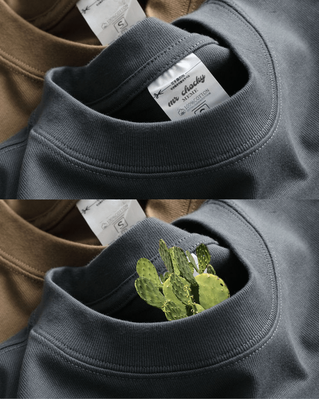 A two-panel meme featuring a close-up of a gray sweatshirt. The top panel shows the sweatshirt's neck opening with a visible tag reading 'mr. chicky', 'MENSWEAR', and '100% COTTON'. The bottom panel is identical in composition, but a small green cactus with paddle-like leaves is now growing out of the neck opening, creating a surreal and humorous contrast between the inanimate clothing item and the unexpected living plant.