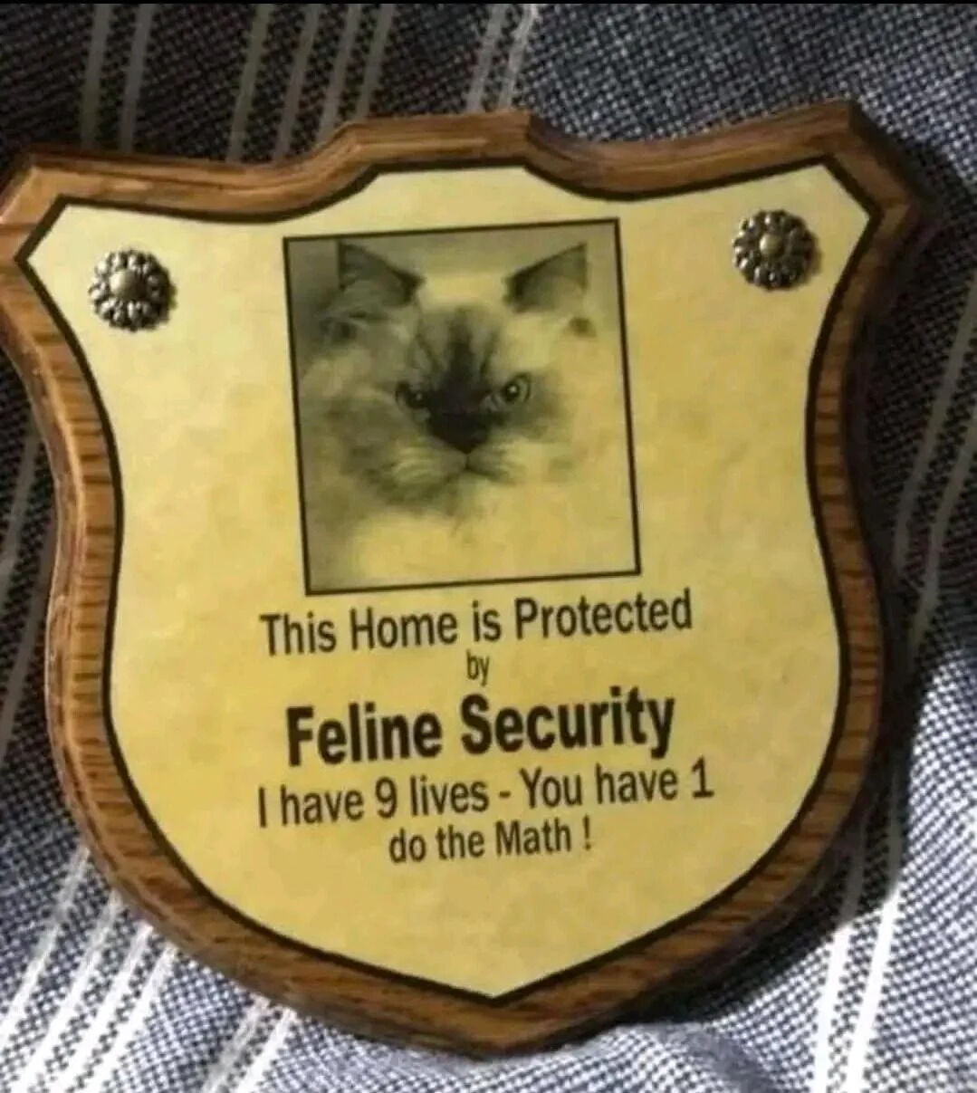 A shield-shaped plaque with a wooden frame and yellowish center featuring a photograph of a cat with a serious expression. The plaque contains text that reads: 'This Home is Protected by Feline Security I have 9 lives - You have 1 do the Math!' The plaque appears to be placed on a fabric surface with a striped pattern. The cat in the photograph has a fluffy coat and is staring directly at the viewer with a somewhat intense expression. The plaque has decorative metal studs on the left and right sides of the top edge.