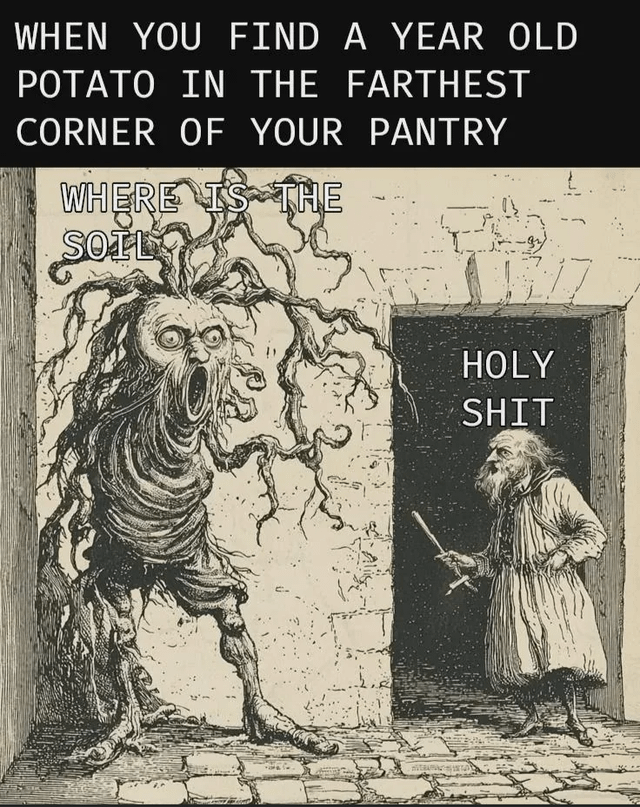 This is a humorous captioned meme featuring a vintage black and white fantasy line art illustration. The top caption reads 'WHEN YOU FIND A YEAR OLD POTATO IN THE FARTHEST CORNER OF YOUR PANTRY'. The illustration depicts a monstrous, humanoid sprouted potato creature with wide eyes, an open screaming mouth, and root/sprout tendrils coming out of its head and body, yelling the line 'WHERE IS THE SOIL'. An elderly bearded man standing in a doorway, representing the person who found the forgotten potato, looks shocked and exclaims 'HOLY SHIT'. The joke is a relatable, absurd take on how aggressively forgotten potatoes can sprout when left unattended in food storage for long periods.