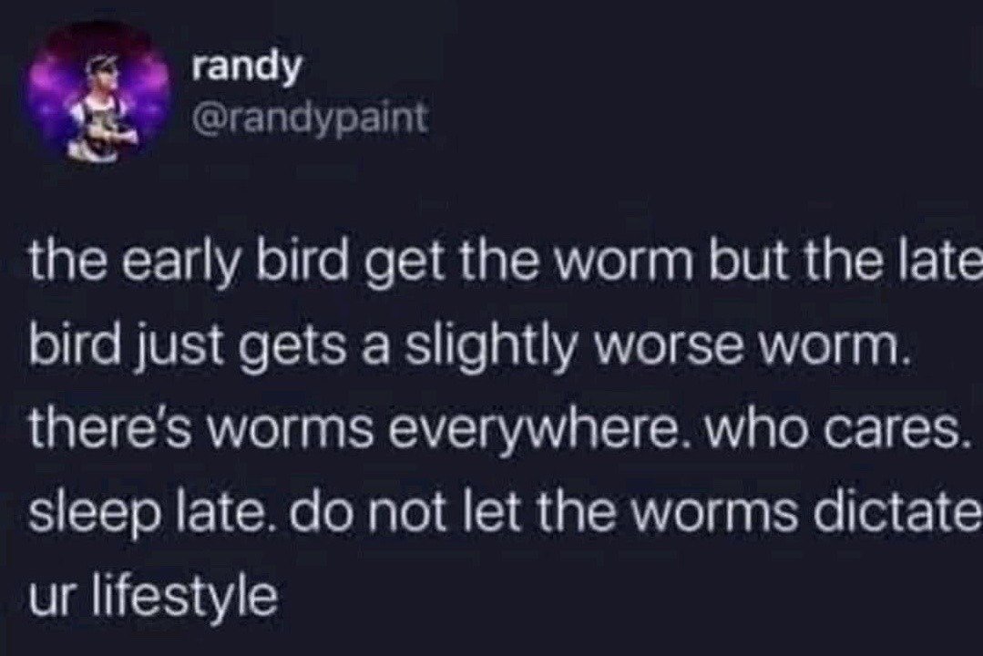 This image is a screenshot of a public tweet posted on X (formerly Twitter). It features text that playfully twists the common traditional proverb 'the early bird catches the worm' to argue against societal pressure to be productive early in the day. The text states that while early birds get worms, late birds only get slightly worse worms, there is an abundance of worms everywhere, no one should care about this arbitrary standard, and people should sleep late instead of letting worms (a metaphor for arbitrary productivity expectations) dictate their personal lifestyle. It is a lighthearted, relatable joke for people who prefer sleeping in and reject hustle culture norms that prioritize early rising as a marker of success.