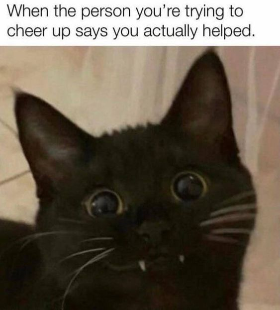 This is a single-panel wholesome reaction meme. Text at the top of the image reads 'When the person you're trying to cheer up says you actually helped.'. Below the text is a photograph of a black cat with extremely large, wide shiny yellow eyes and small pointy fangs sticking out of its mouth, looking intensely delighted and excited. The cat's exaggerated happy expression perfectly illustrates the feeling of pleasant surprise and warm joy someone experiences when they learn they successfully helped a loved one feel better.