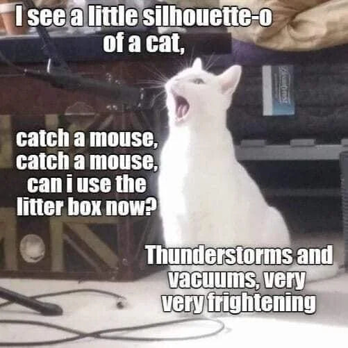 The image features a white cat with its mouth open, appearing to sing or meow, positioned in a room. Behind the cat is a Union Jack-patterned object (possibly a speaker) and some cables on the floor. Overlaid text parodies the lyrics of Queen's 'Bohemian Rhapsody,' with lines: 'I see a little silhouette-o of a cat, catch a mouse, catch a mouse, can i use the litter box now? Thunderstorms and vacuums, very very frightening.' The cat's open-mouthed expression and upward gaze enhance the impression of it 'singing' the humorous, cat-themed lyrics.