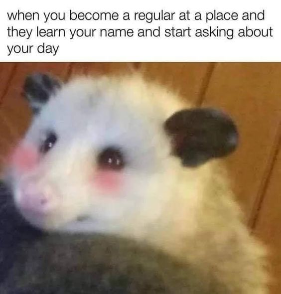 This is a relatable wholesome meme that features a real opossum with edited pink blush on its cheeks and soft, teary eyes, paired with text describing the warm feeling of becoming a regular at a local shop or spot. When the staff learn your name and start asking how your day has been, the shy, flattered, happy feeling conveyed matches the blushing opossum's gentle touched expression.