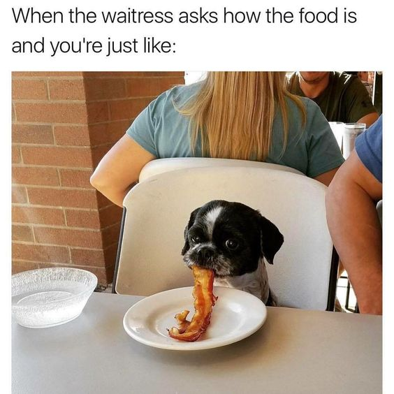 This is a relatable wholesome animal meme. The top of the image features text that sets up a common dining scenario: 'When the waitress asks how the food is and you're just like:'. The lower section is a candid photograph taken at a casual dining location, likely an outdoor restaurant patio with a red brick wall visible on the left side. A small black and white dog sits on a white folding chair at a light grey table, holding a long strip of cooked bacon in its mouth while staring directly at the viewer with an expression that reads as both guilty and happily focused on its meal. Partially visible diners are in the background behind the dog, a clear glass bowl sits on the table to the left, and the rest of the bacon strip rests on a small white plate in front of the dog. The joke references the relatable experience of being so engrossed in enjoying your food that you are caught off guard when a server asks if your meal is good, leaving you too busy eating to form a proper response.