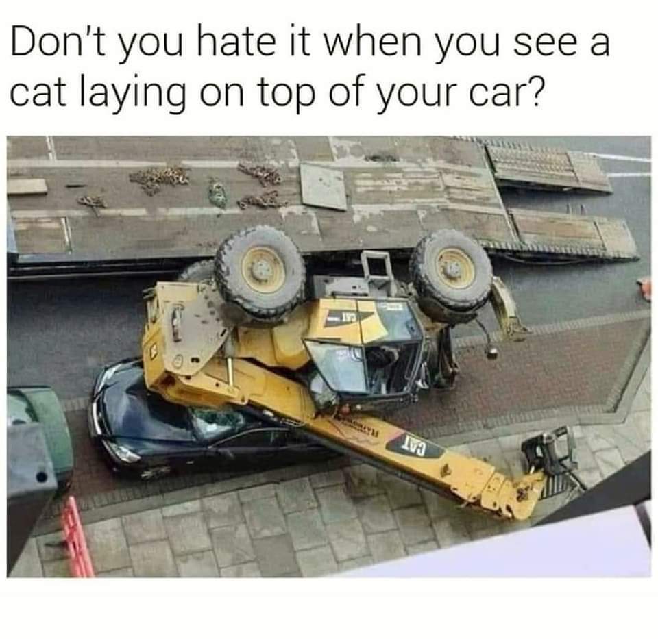 This meme plays on the double meaning of the word 'CAT': the text at the top asks, *Don't you hate it when you see a cat laying on top of your car?*, while the image below shows a large yellow Caterpillar (CAT) brand construction vehicle (a crane/loader) that has collapsed onto a black sedan. The joke subverts the expected 'domestic cat' with heavy machinery, creating a lighthearted, wholesome pun out of a real accident photo.