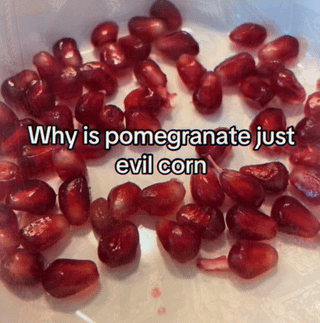 The image displays multiple glossy, deep red pomegranate arils spread loosely across a plain white surface, likely a plate. Overlaid in bold white text with a dark outline is the joke question 'Why is pomegranate just evil corn'. The humor derives from the visual similarity between the oblong shape of individual pomegranate seeds and corn kernels, combined with the lighthearted framing of pomegranates as 'evil' due to common annoyances like their tendency to stain clothing, the effort required to extract the seeds, and their tart flavor.
