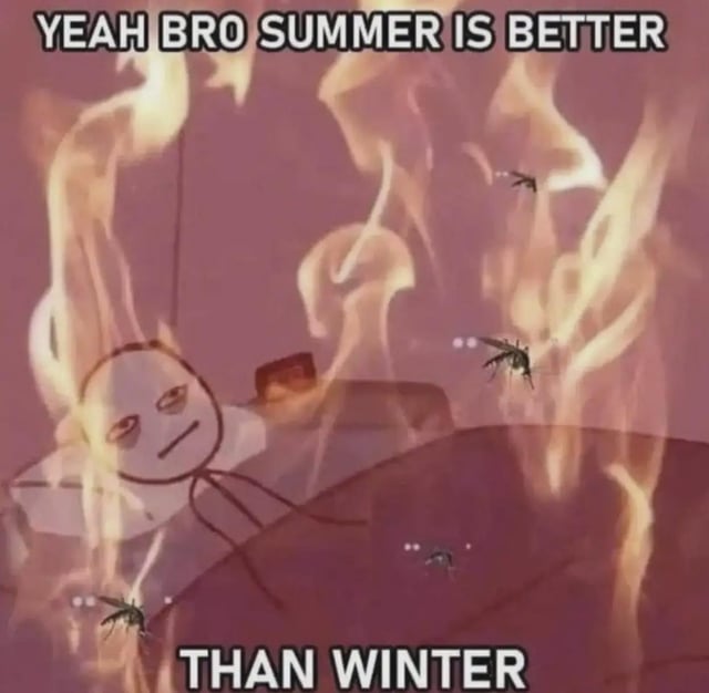 This is a sarcastic single-panel meme. It features a crudely drawn stick figure character with tired, dark under-eye bags lying down, surrounded by bright orange flames that represent unbearably hot summer temperatures, plus multiple mosquitoes flying around the character. Text at the top of the image reads 'YEAH BRO SUMMER IS BETTER' and text at the bottom reads 'THAN WINTER', using irony to mock the common opinion that summer is preferable to winter by highlighting common unpleasant summer downsides: extreme heat and constant mosquito bites.